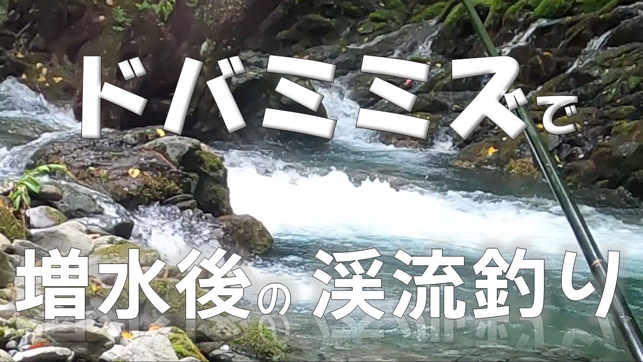 ドバミミズで増水後の渓流釣り【渓流エサ釣り】