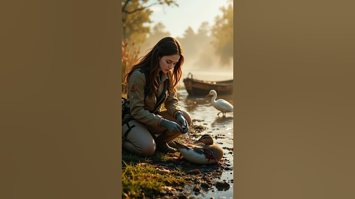 Injured Duck Rescued at River's Edge 🦆💔 | Heartwarming Moment You Can’t Miss!