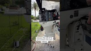 #automobile #marineelectricals #motorcycle #marineservices #suzuki #smart #cat #dog #viralvideo