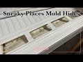 The Sneaky Place Mold Loves to Hide (And Why Dry Mold Is Still Dangerous)