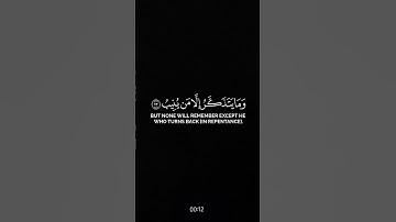 القرآن الكريم | تلاوة خاشعة #quran #اكسبلور #yasseraldossary #اسلام_صبحي #لايك