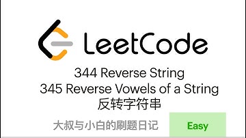 Leetcode 344 Reverse String & 345 Reverse Vowels of a String 反转字符串