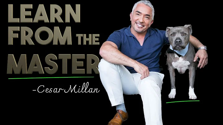 How Cesar Millan, The Dog Whisperer trains his own dogs - DayDayNews