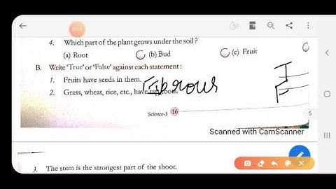Class 3 - Science - Chapter 2 - Parts of a plant - Part 1