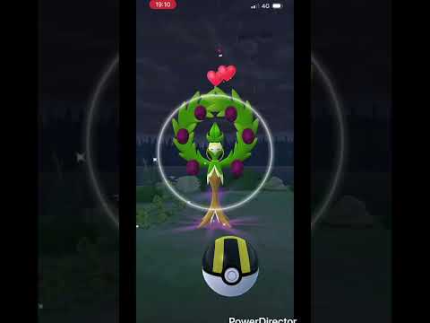 【ポケモンgo 】　野生のオリーヴァを捕獲！ #pokemon #pokemongo #ポケモン #ポケモンgo