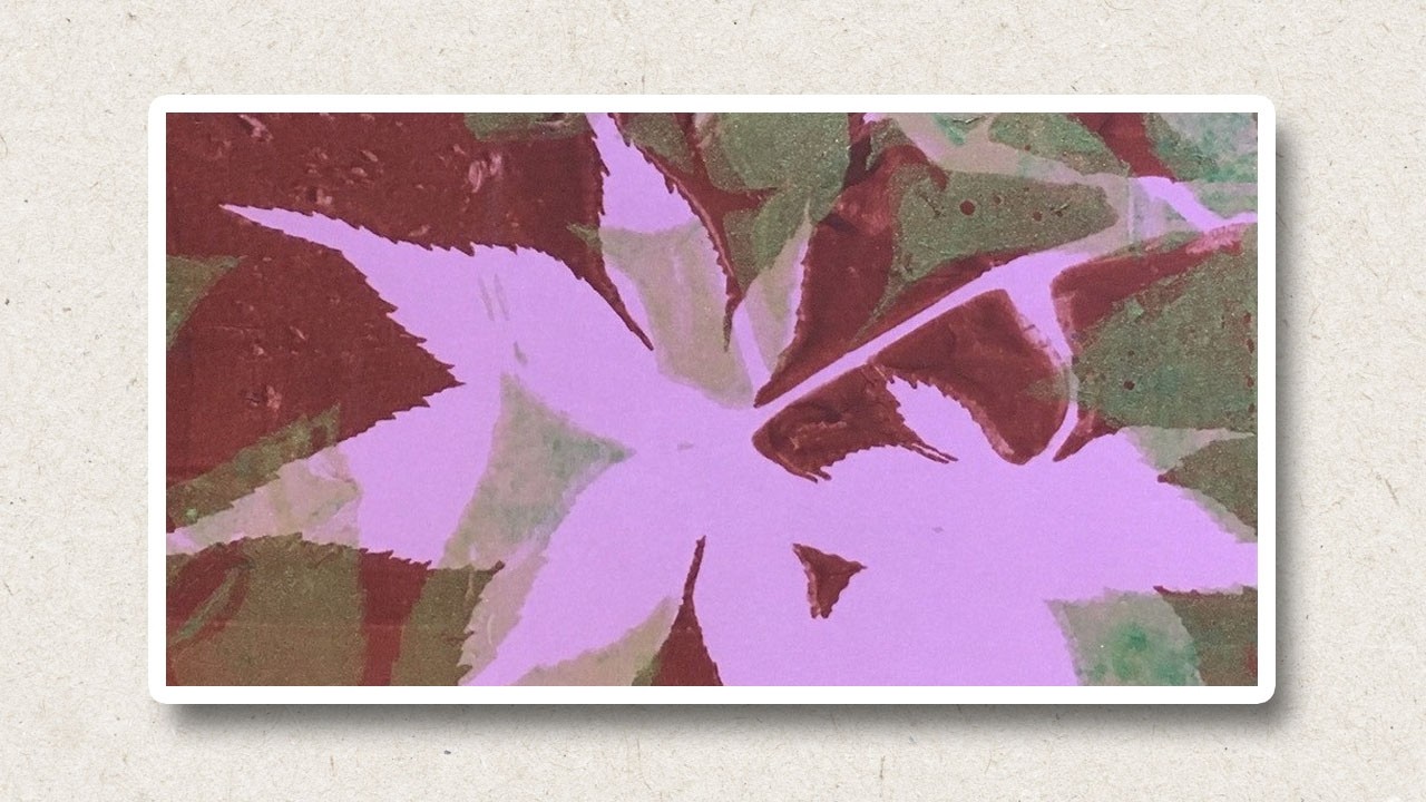 Art Demo: Gelatin Prints