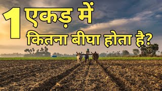 एक एकड़ में कितना बीघा होता है? 1 acre mein kitna bigha hota hai ? by Natural Farming Made Easy 20,856 views 3 months ago 3 minutes, 14 seconds