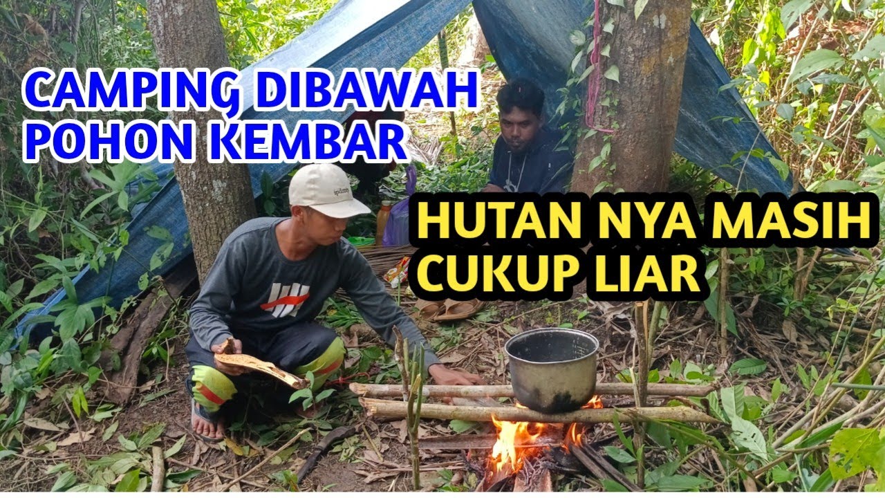 Camping" Bikin shelter dibawah pohon kembar