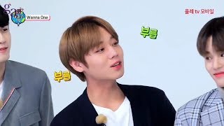 Amigo TV Season 4 Ep.1 - Park Jihoon Full Cut