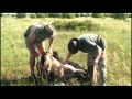 Ostrich Hunt with Phacochère Safaris