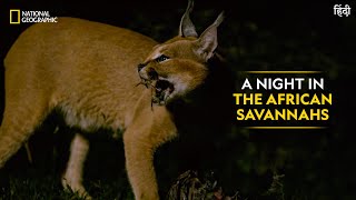 A Night in the African Savannahs | Dead by Dawn | Full Episode | S01-E03 | National Geographic