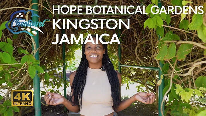 [4K] You Need to Visit Jamaica and Explore Hope Bo...