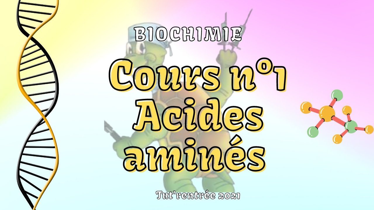 Biochimie - 01- Acides aminés - YouTube