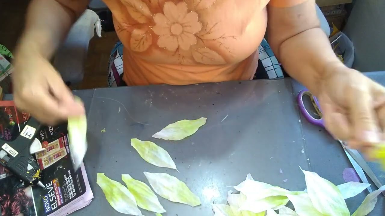 LINDA FLOR DE TNT, VEM CONFERIR!