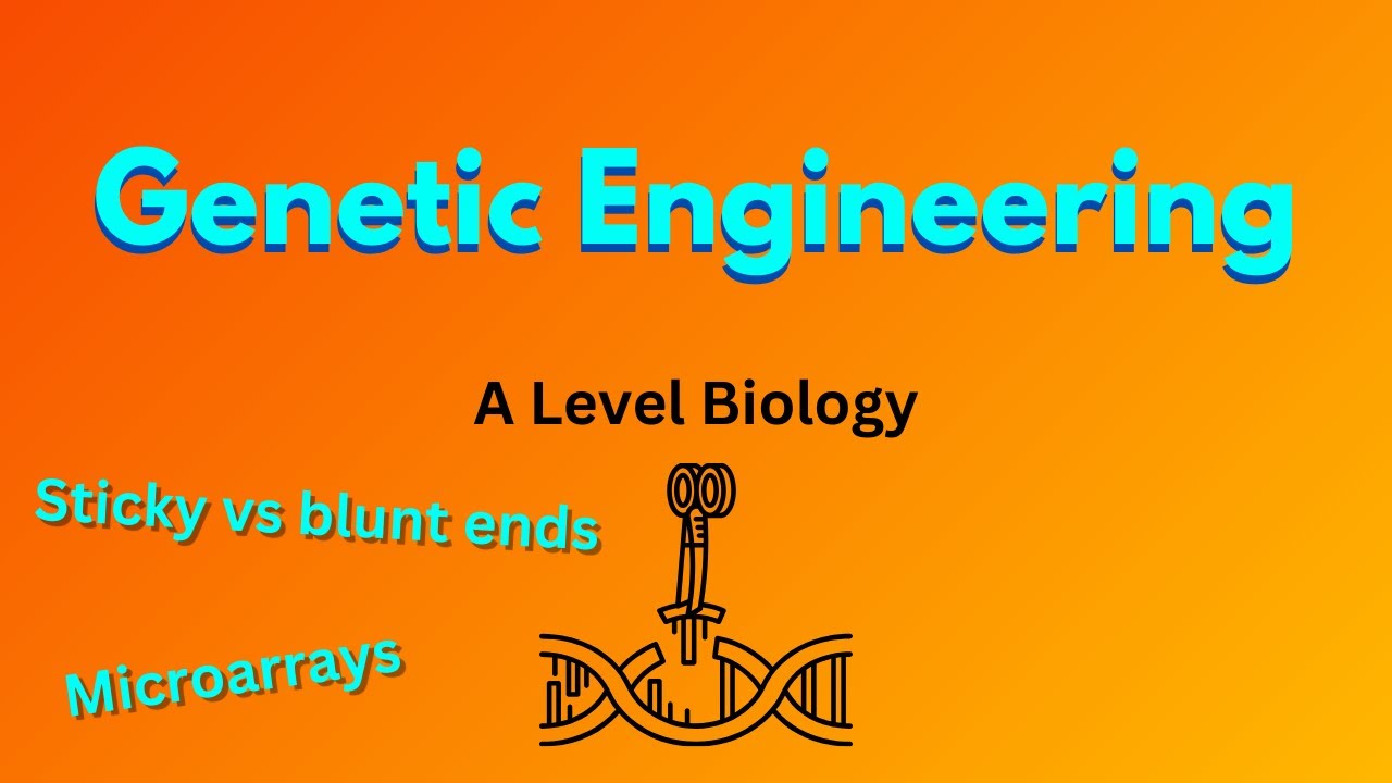 Genetic Engineering in 24 minutes for AL Biology