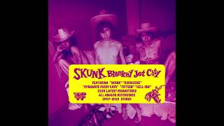Skunk」（Remastered 2026) - YouTube