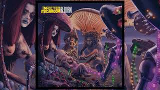 Infected Mushroom - Return Of The Shadows REBORN