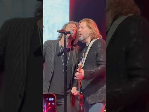Chris Robinson +