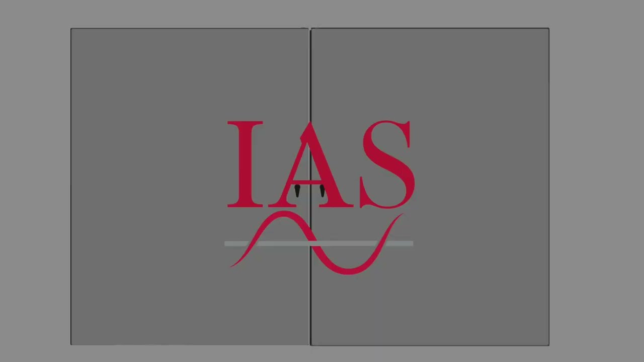 The IAS Systems Group