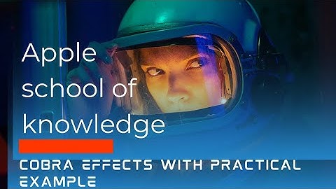 "The Cobra Effect: Unintended Consequences of Problem Solving"