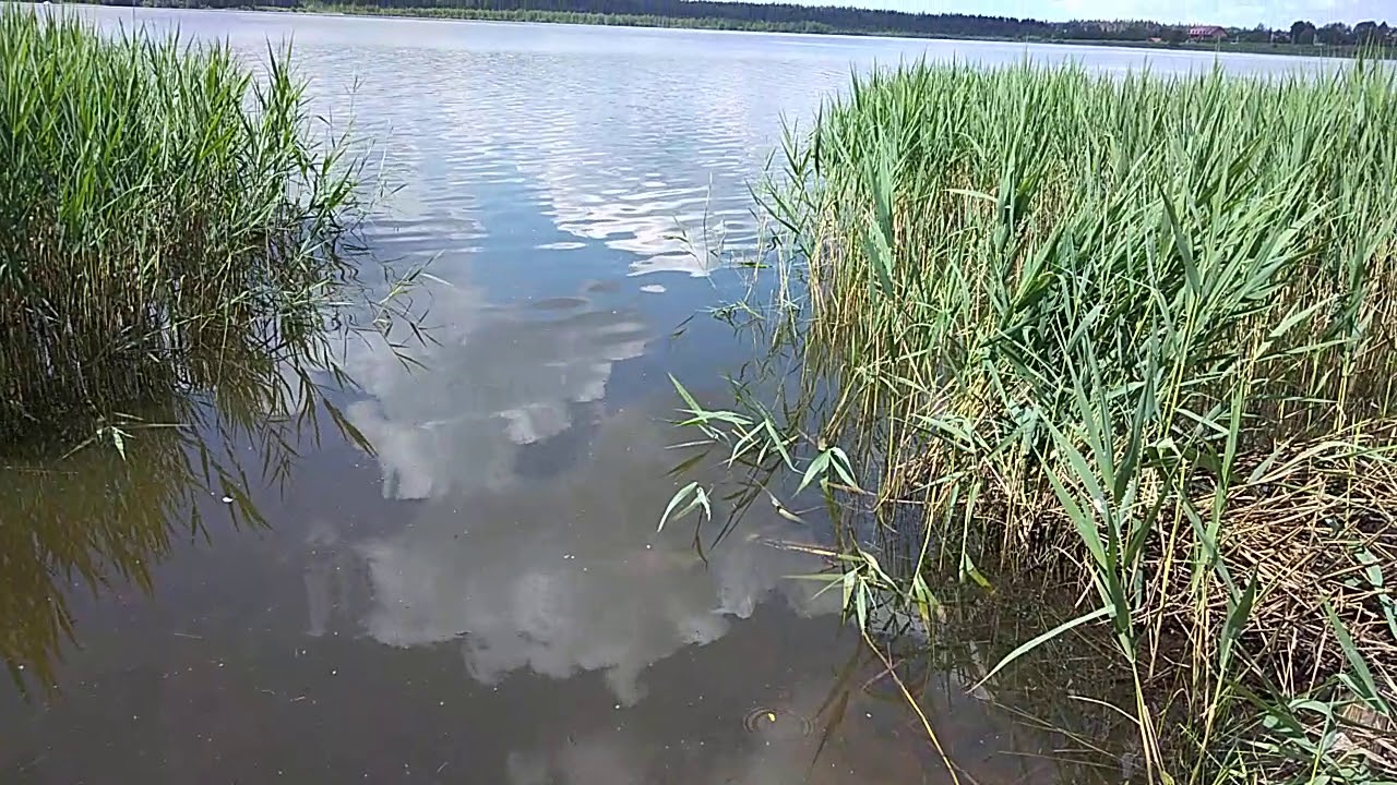 Круглое озеро лобня пляж