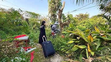 Young girl surprised by overgrown weeds at the entrance her house | Clean garden satisfied her joy