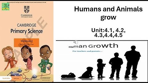 Cambridge primary science grade 2| Workbook Unit :4.1|4.2|4.3|4.5| Humans and animals grow