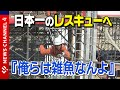 【消防密着】レスキュー隊「俺たちは雑魚なんよ」”日本一”を目指す消防隊員たち<NEWS CH.4>
