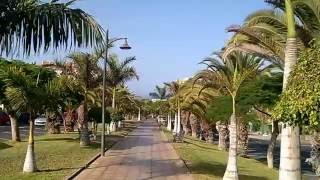 Los Cristianos Tenerife - Boulevard of Palms