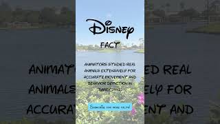 Disney Fact #56 @Disney #disney #disneyworld #waltdisney #disneyland #youtubeshorts  #disneyfacts