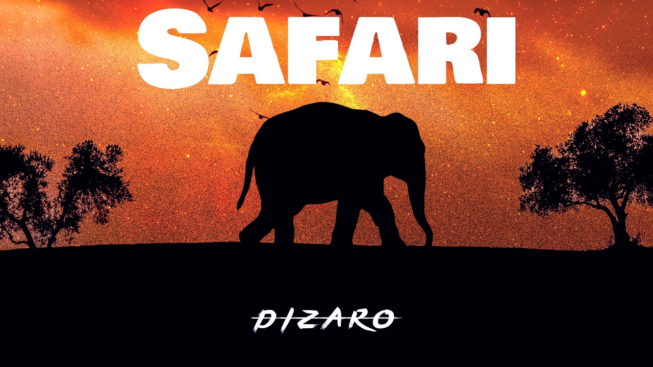 Dizaro   Safari