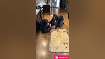 Natalie and Brandi’s Hovercraft Video Journal (Mr. King)