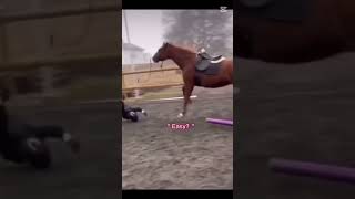 ❤️❤️ #viral #horse #equestrian #horseriding