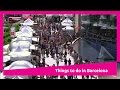 Things to do in Barcelona