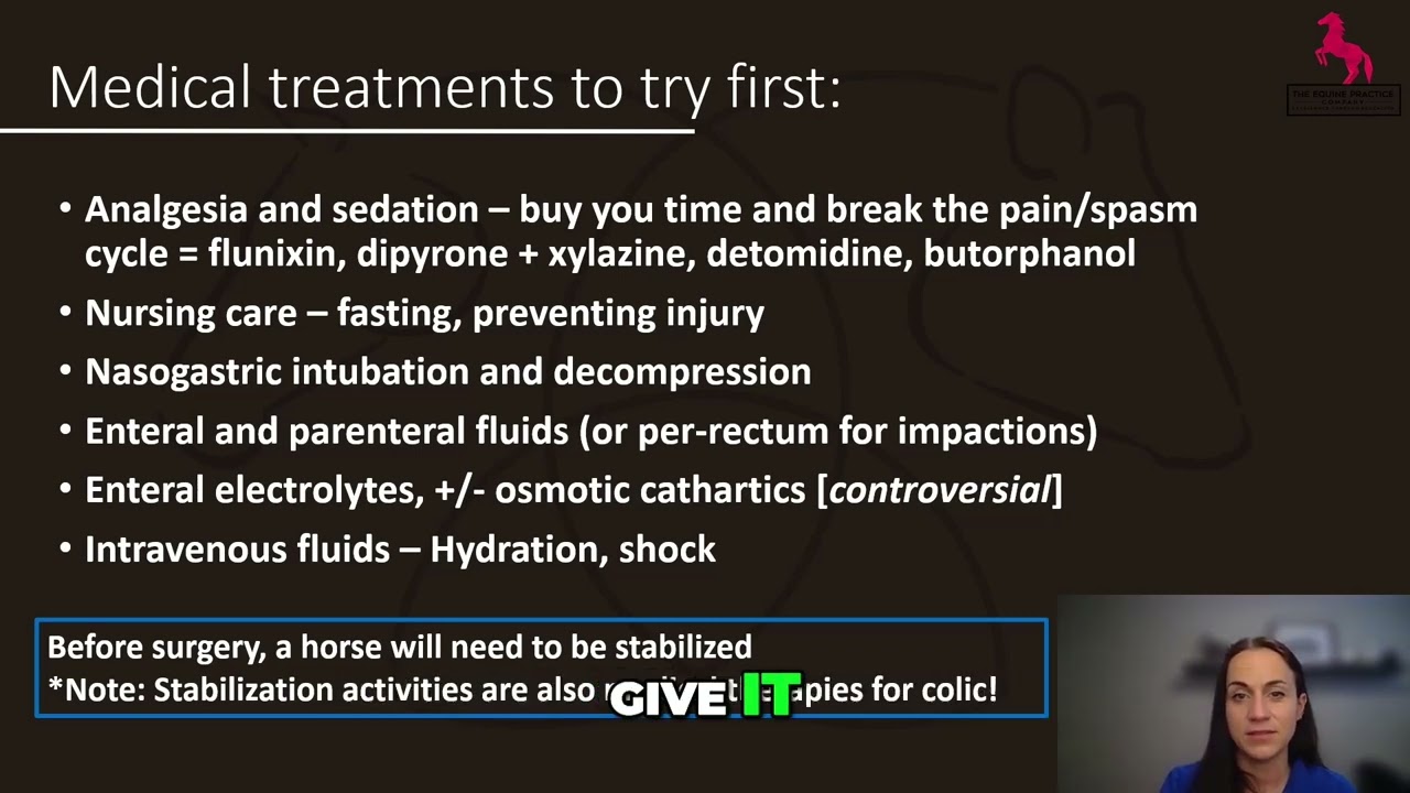 Horse Colic Management: Multimodal Fluid Therapy Explained