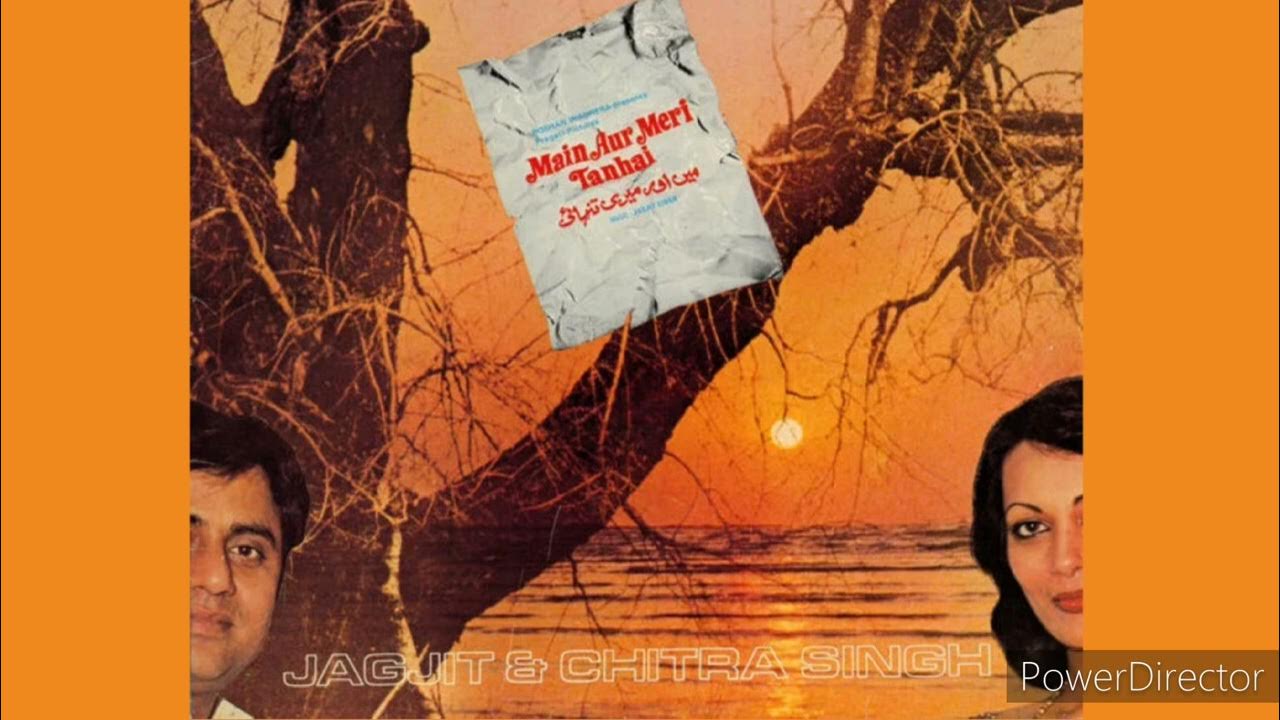 HUM BHI SHARABI TUM BHI SHARABI CHITRA SINGH YouTube