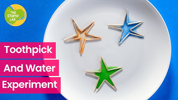 How To Do Toothpick Star Experiment With Water - Easy Science Experiment