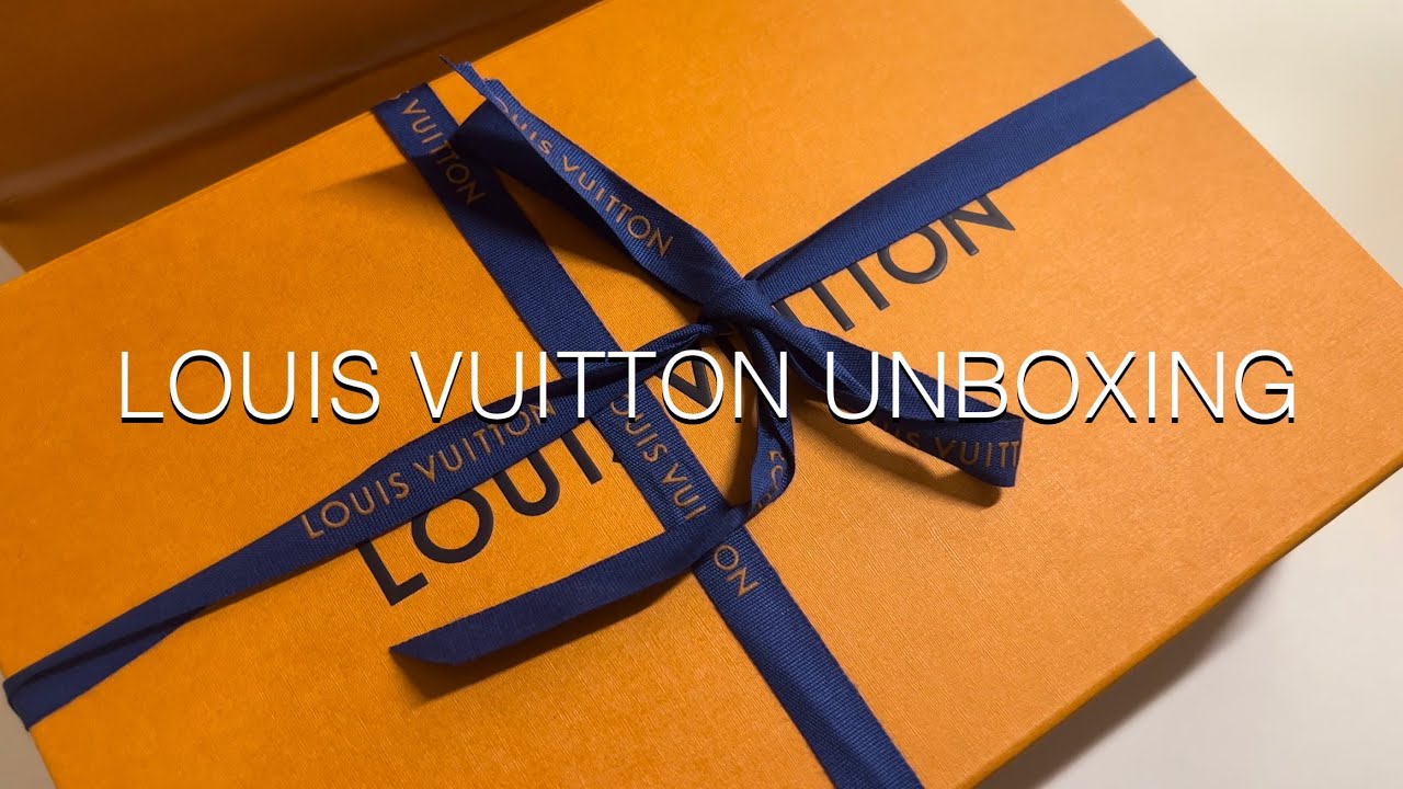 NEW Louis Vuitton Pochette Métis East West Unboxing