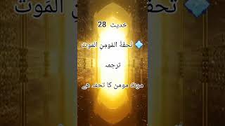 خدیث نمبر 28. religion quote emotional