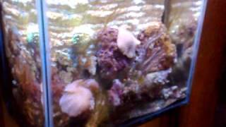 12072010.mp4