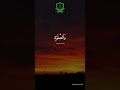 Quran Al-Baqarah [2:152-153] | Remember Me, and I Will Remember You