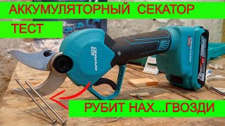 видео: ШОК!!! 😱 Аккумуляторный Садовый Секатор | Творит Чудеса 😱 Grand CA 21BL Pro| Не Хуже Секатора Макита картинка: ШОК!!! 😱 Аккумуляторный Садовый Секатор | Творит Чудеса 😱 Grand CA 21BL Pro| Не Хуже Секатора Макита
