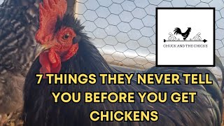 7 Things They Never Tell You Before You Get Chickens