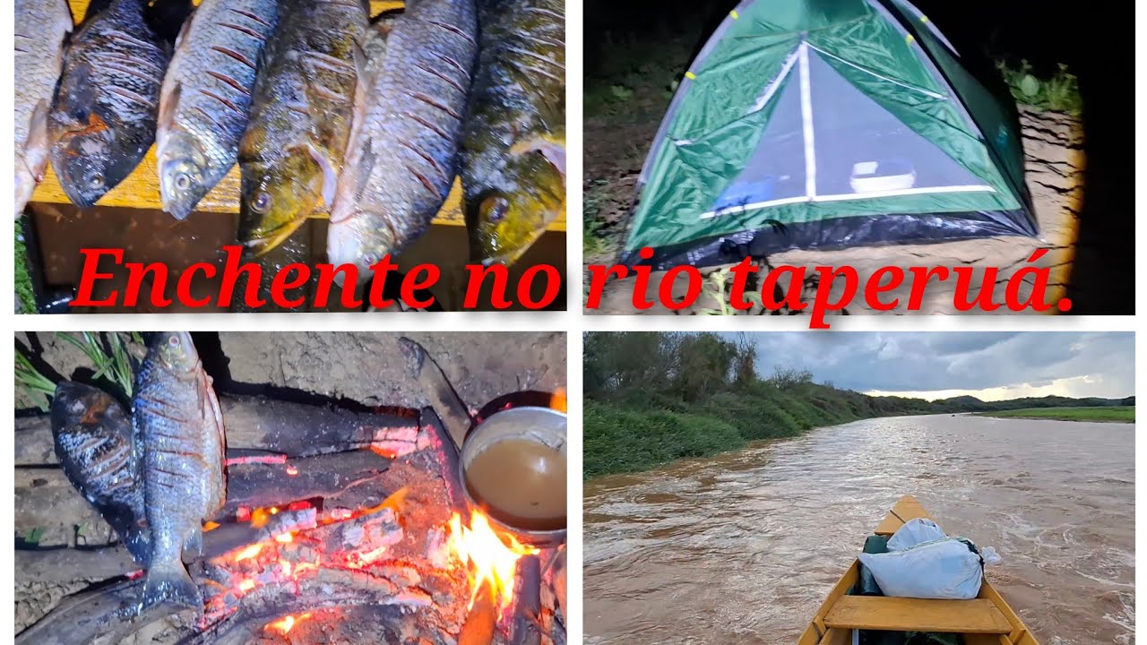 Fui olhar à enchente, no rio taperuá. Acampamento e muito peixe🐠🐟🐋🐠🐟🐠🐟🐋