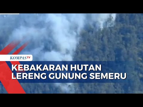 Hutan di Kawasan Taman Nasional Bromo Tengger Semeru Terbakar, Penyebab Belum Diketahui