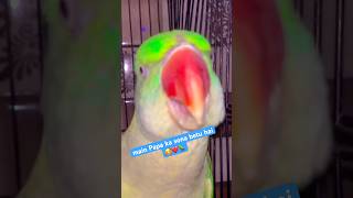 Talking parrot🦜😱बोलने वाला तोता |🦜😱#mitthu #shorts #shortvideo #birds #short #viral #yt #parrot