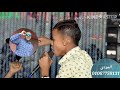 يا عاشقين النبي متصلوا بقا عليه 