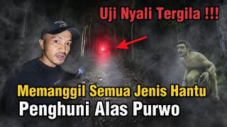 UJI NYALI TERGILA ! MEMANGGIL SEMUA HANTU PENGHUNI ALAS PURWO