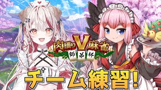 【#雀魂】明日は大会本番！　肉獲り麻雀に向けてチーム練習じゃ！【千羽黒乃】