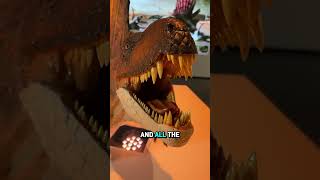 Let's look at this fossil and also learn a bit about Dimetrodon